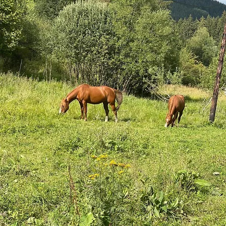 Lägenhet Drevenice Horne Kysuce Vysoka nad Kysucou