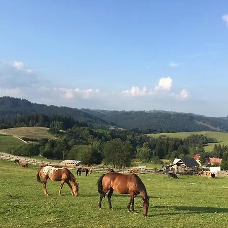 Drevenice Horne Kysuce Vysoka nad Kysucou