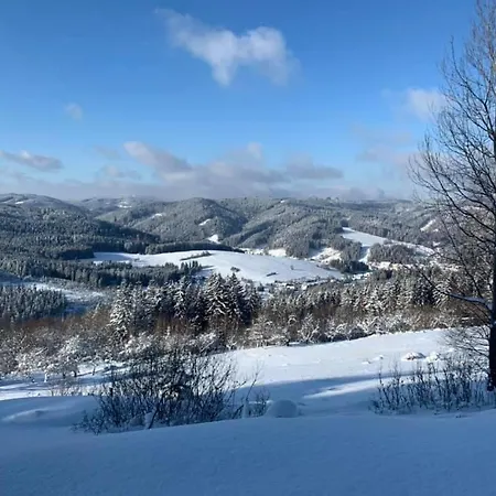 Drevenice Horne Kysuce Lägenhet Vysoka nad Kysucou