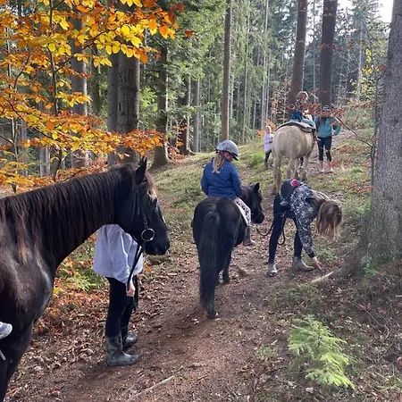 Lägenhet Drevenice Horne Kysuce Vysoka nad Kysucou