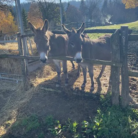 Apartament Drevenice Horne Kysuce