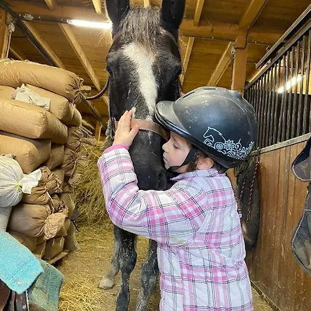 Lägenhet Drevenice Horne Kysuce *