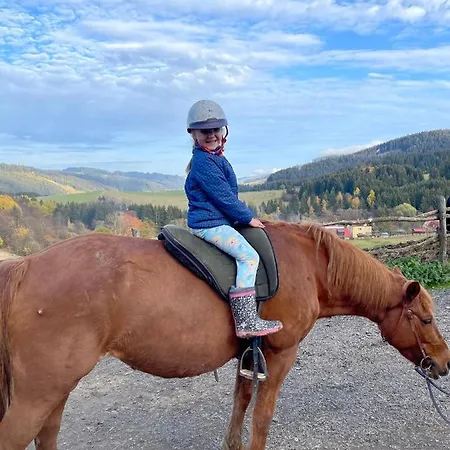 Drevenice Horne Kysuce