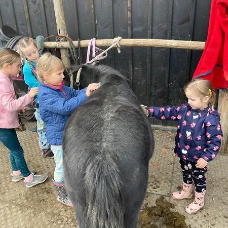 Drevenice Horne Kysuce Lägenhet