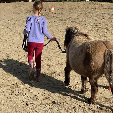 Drevenice Horne Kysuce *