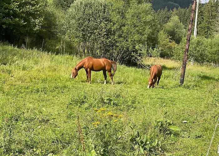 דירה Drevenice Horne Kysuce Vysoka nad Kysucou