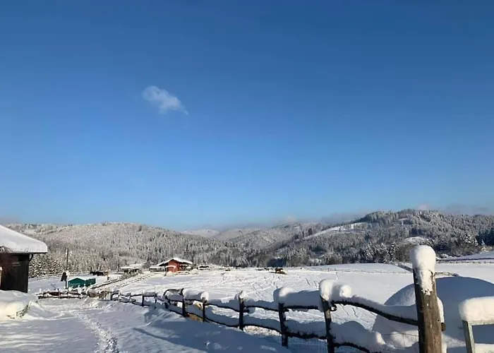 Drevenice Horne Kysuce Vysoka nad Kysucou