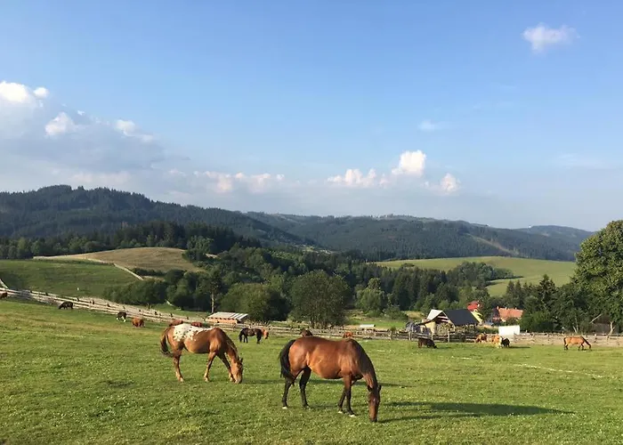 Drevenice Horne Kysuce Vysoka nad Kysucou