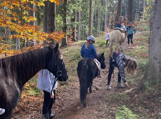 דירה Drevenice Horne Kysuce Vysoka nad Kysucou