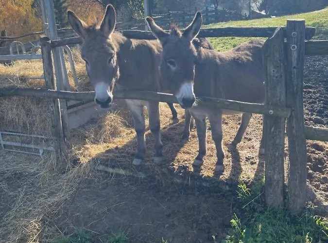 דירה Drevenice Horne Kysuce