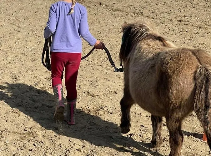 Drevenice Horne Kysuce *